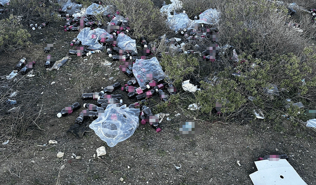 Bilecik’te tepki çeken görüntü: Ormanda yüzlerce şalgam suyu şişesi bulundu