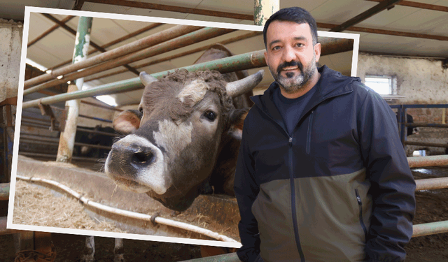 Kurbanlık alacaklar dikkat: Eskişehir’de “son güne bırakmayın” uyarısı