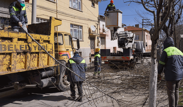 Tepebaşı ekiplerinden cadde ve parklarda yoğun mesai