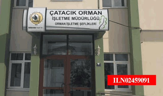 Çatacık Orman İşletme Müdürlüğü ormancılık çalışmalarının takibi ve kontrolü hizmeti alacaktır