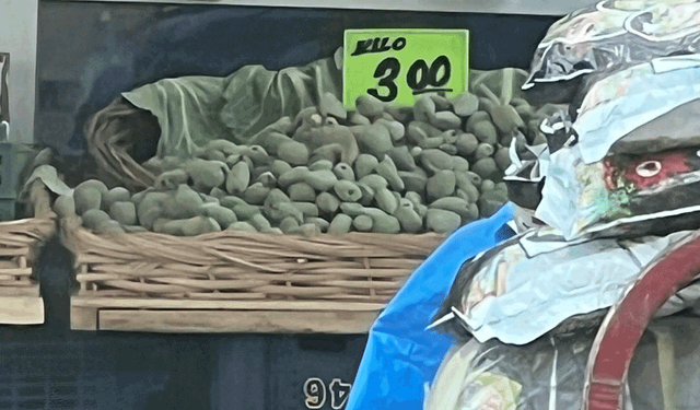 Eskişehir’de yazın gözdesi çağlanın kilosu 300 TL