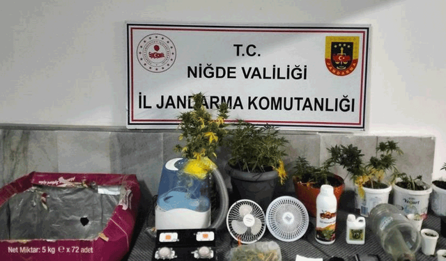 Niğde’de yasadışı kenevir yetiştirenlere operasyon