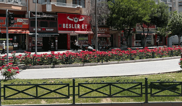 Eskişehir yazı rengârenk çiçeklerle karşıladı
