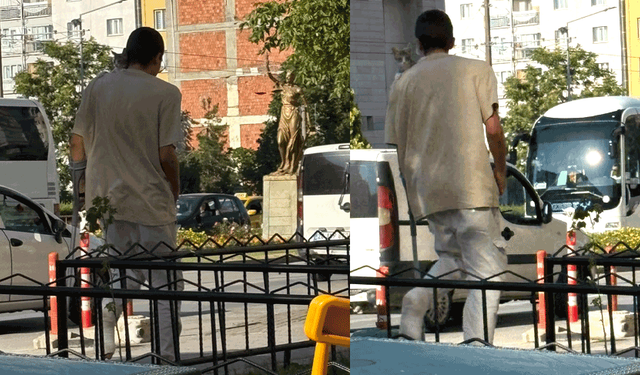 Eskişehir’de hayvan sevgisini anlatan anlamlı kare