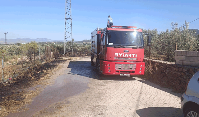 Gaziantep'te zeytinlik alanda yangın