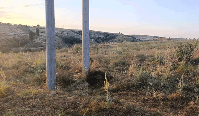 Bilecik'te elektrik akımına kapılan kuş yangına neden oldu