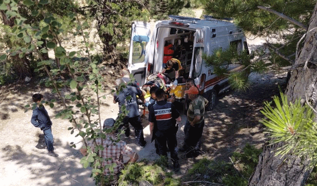 Bolu’da traktörden düşen 2 kişi yaralandı