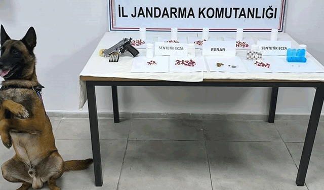 Eskişehir jandarmasından zehir tacirlerine operasyon: 1 tutuklama