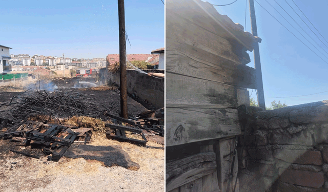 Eskişehir’de ihmal yangın getirdi: Bahçelik alan alevlere teslim oldu