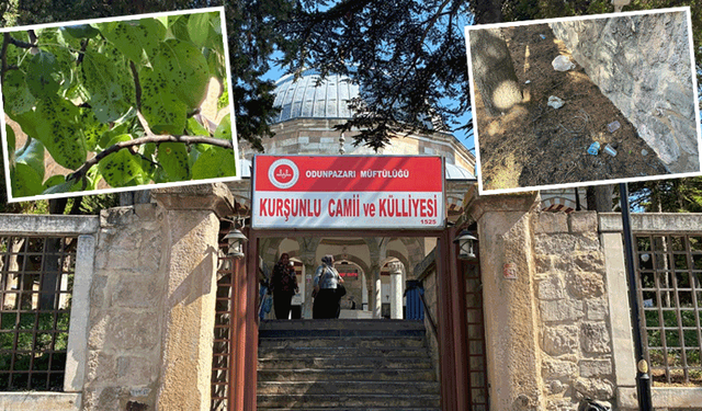 Eskişehir’in 5 asırlık mirası korunma ve bakım bekliyor