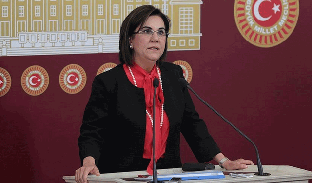 Gaye Usluer’e CHP’de yeni görev
