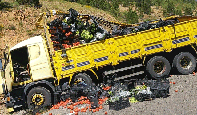 Gümüşhane'de kamyon otomobile çarptı: 4 yaralı