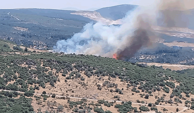 İzmir'de orman yangını
