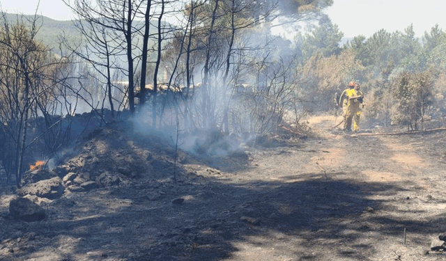 Muğla Menteşe'deki yangın kontrol altındı