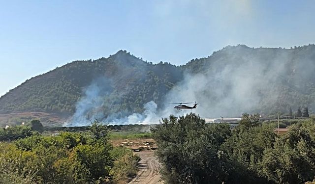 Muğla’da tarım alanındaki yangın kısa sürede söndürüldü