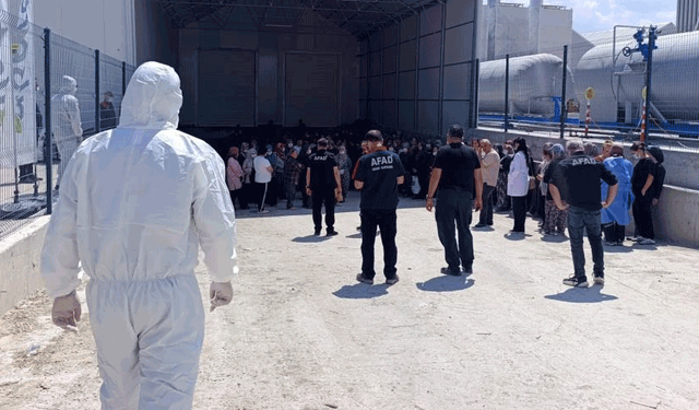 Afyon'da  domates serasında zehirlenme: 10 çalışan hastaneye kaldırıldı