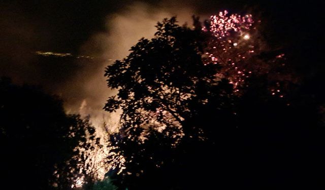 Antalya'da gece saatlerinde çıkan orman yangını kontrol altına alındı