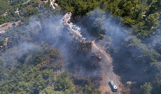 Antalya'da orman yangını 3 saatte kontrol altına alındı