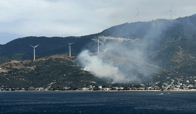 Balıkesir'de orman yangınına neden olan şüpheli gözaltına alındı