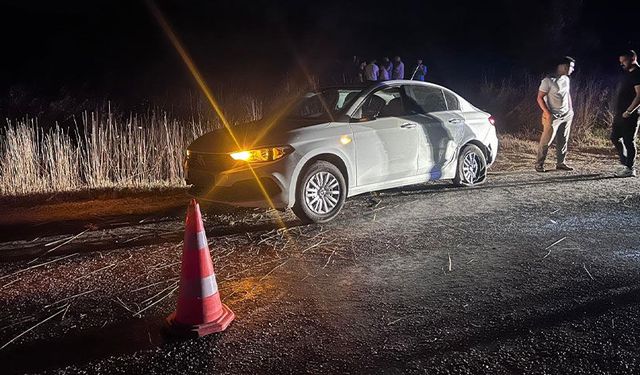 Bilecik'te kontrolden çıkan otomobil şarampole uçtu, sürücü yaralandı