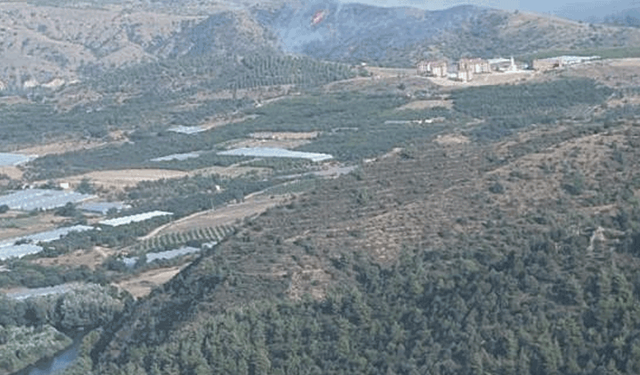 Bilecik’te orman yangını kontrol altına alındı