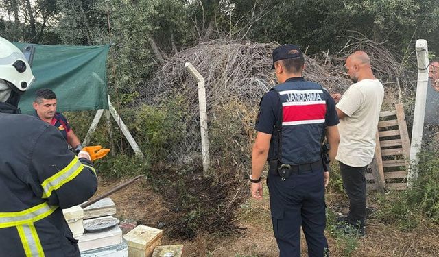 Bilecik'te ot ve çalılık yangını büyümeden söndürüldü