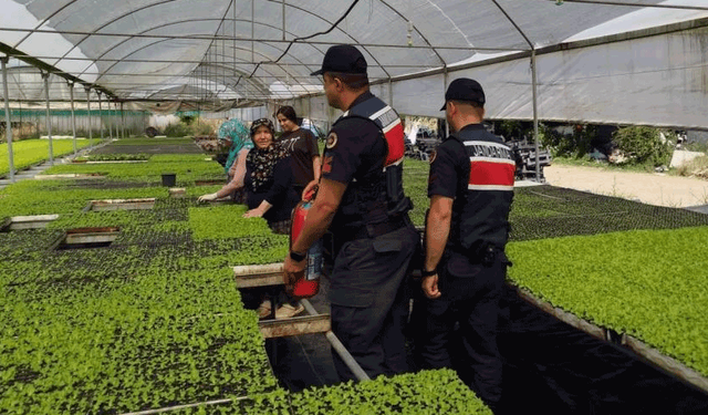 Bilecik'te sera sahiplerine yangın uyarısı