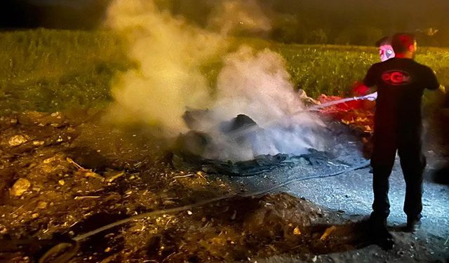 Bilecik'te yol kenarındaki çöp birikintisi alev aldı