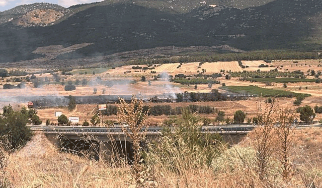 Burdur'da 20 dönümlük otluk alanda yangın