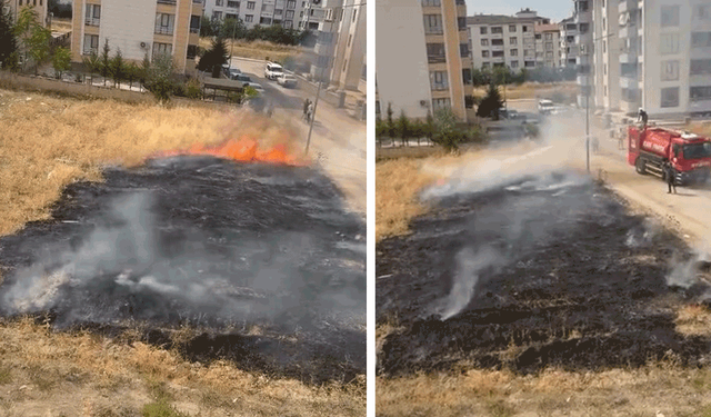 Elazığ'da otluk alanda çıkan yangın söndürüldü