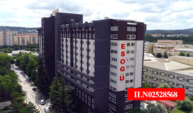 Eskişehir Osmangazi Üniversitesi hastane birimi tıbbi gaz, medikal gaz satın alacaktır