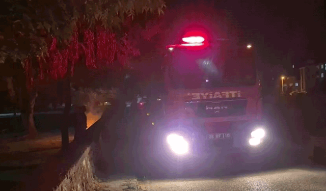 Eskişehir'de bir parkta kasten çıkarılan yangın ekipleri teyakkuza geçirdi