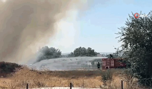 Eskişehir'de otluk alanda çıkan yangın paniğe neden oldu