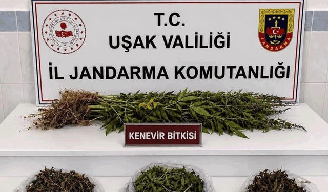 Uşak’ta kaçakçılık operasyonu