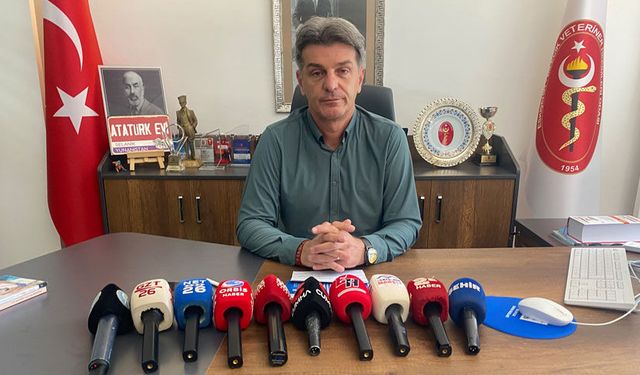 Veterinerlerden kritik uyarı: Sıcak hava hayvanlar için ölümcül olabilir!
