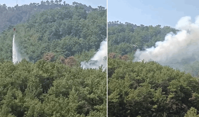 Adana'da soğutma çalışmalarının sürdüğü ormanlık alanda yeniden yangın çıktı