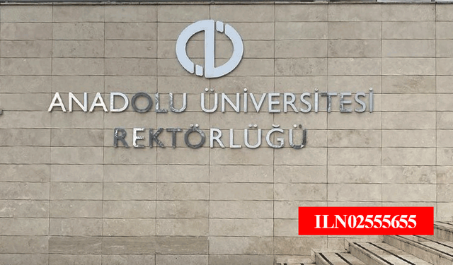 Anadolu Üniversitesi Rektörlüğü yol bakım-onarım işi yaptıracaktır