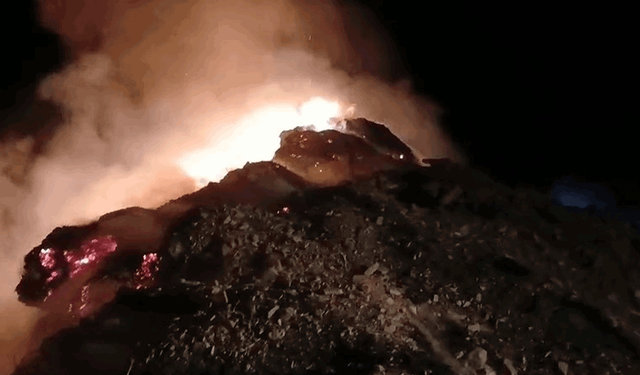 Hakkari'de 5 bin ot balyası kül oldu