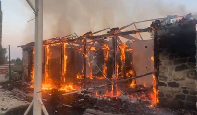 Osmaniye'de restoranda çıkan yangın ormana sıçramadan söndürüldü