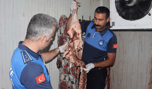 Şanlıurfa'da 315 kilo bozuk et ele geçirildi