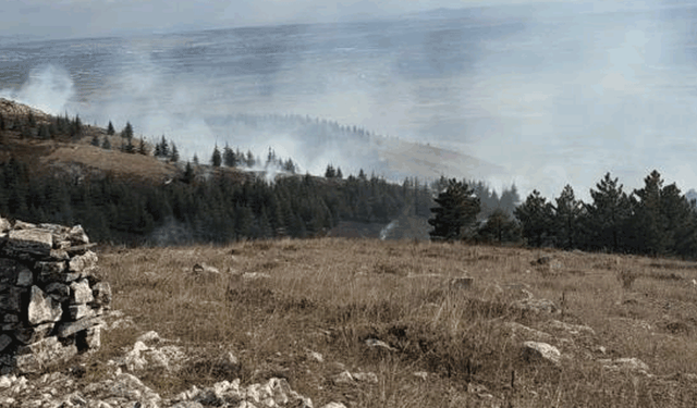 Eskişehir'de çıkan orman yangını kontrol altına alındı
