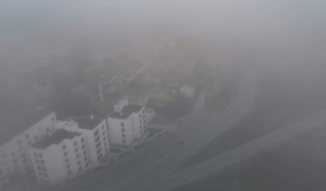 Eskişehir'de göz gözü görmedi: Yoğun sis ulaşımı etkiledi