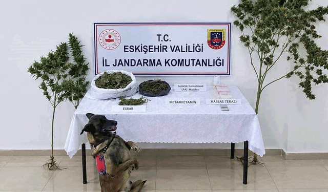 Eskişehir'de uyuşturucu operasyonu: 1 tutuklama