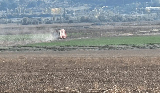 Kütahya Tavşanlı'da arazi yangını