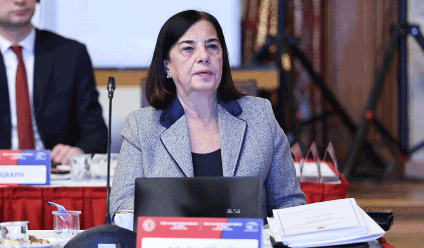 Süllü: 72 kriterden altısını yerine getirmedik