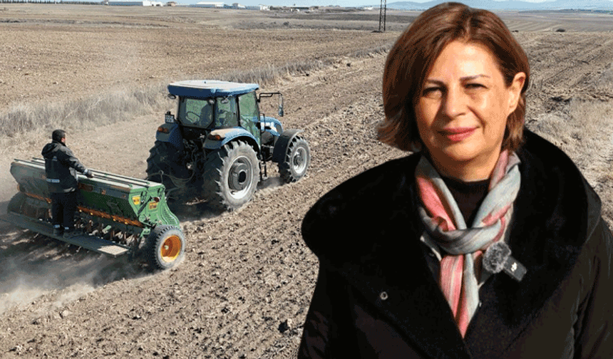 Ayşe Ünlüce: “Tarımla kalkınacağız, suyumuza sahip çıkacağız”
