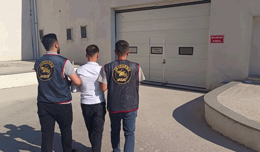 Siber suç zanlısı Eskişehir’de jandarmadan kaçamadı