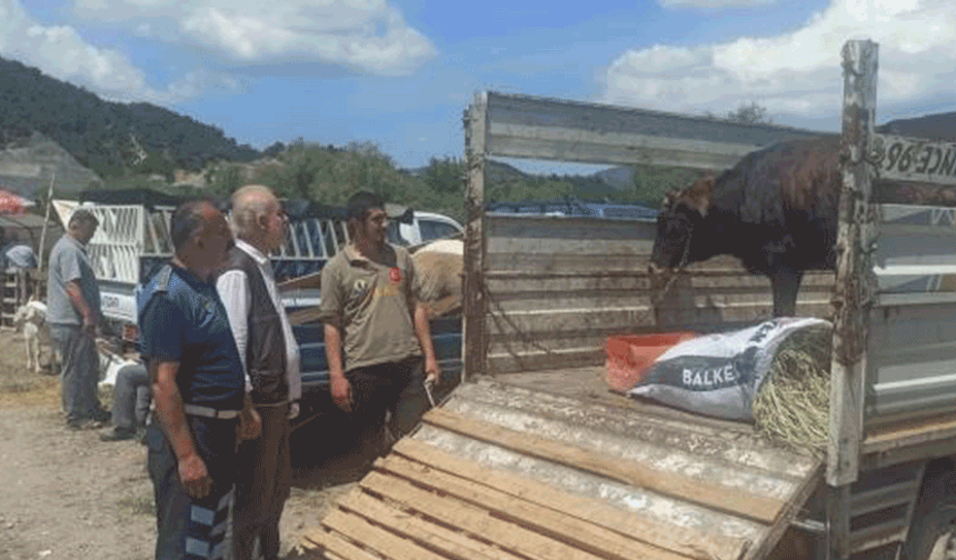 Bilecik'te Kurban Bayramı öncesi hayvan pazarlarına sıkı denetim