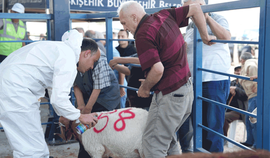 Eskişehir büyükşehir Hayvan Pazarı’nda kurban kesim hizmetine yoğun ilgi