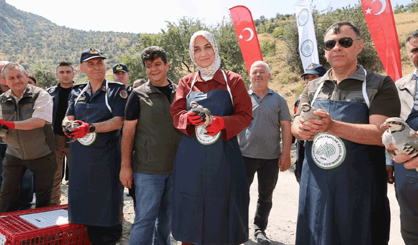 Afyon’da kenelere karşı doğal mücadele başladı